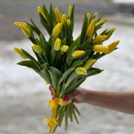  Букет желтых тюльпанов, заказать с доставкой в по Академгородку